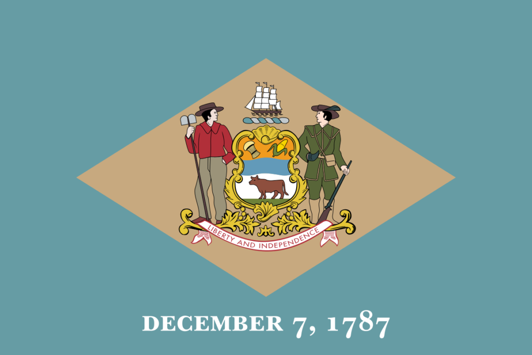 Delaare State Flag