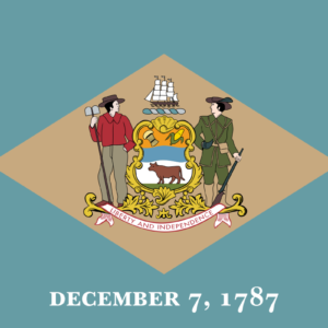 Delaare State Flag